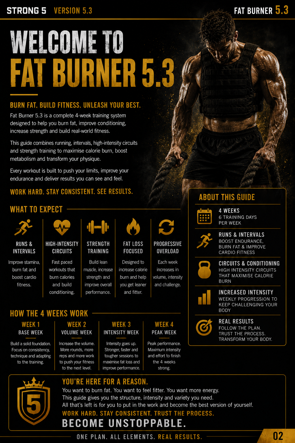 Guide 5.3 Fat Burner