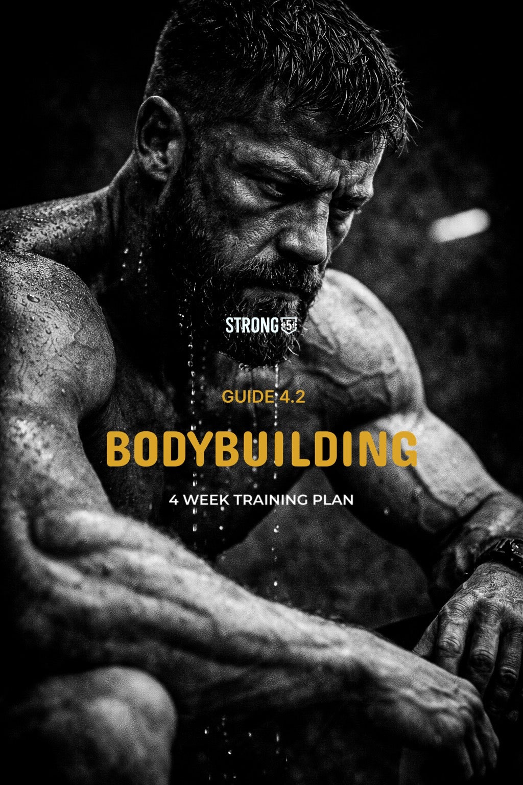 Guide 4.2 Bodybuilding
