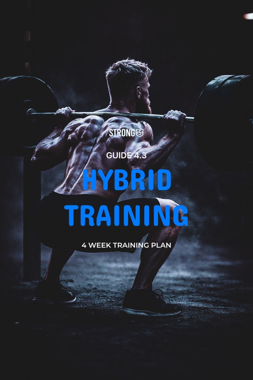 Guide 4.3 Hybrid Training