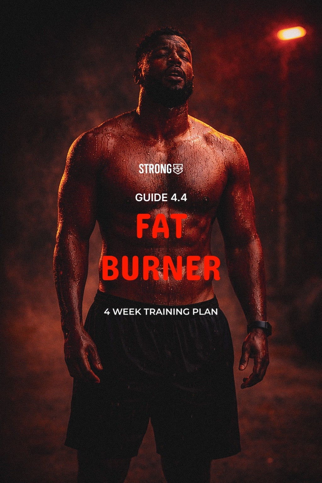 Guide 4.4 Fat Burner