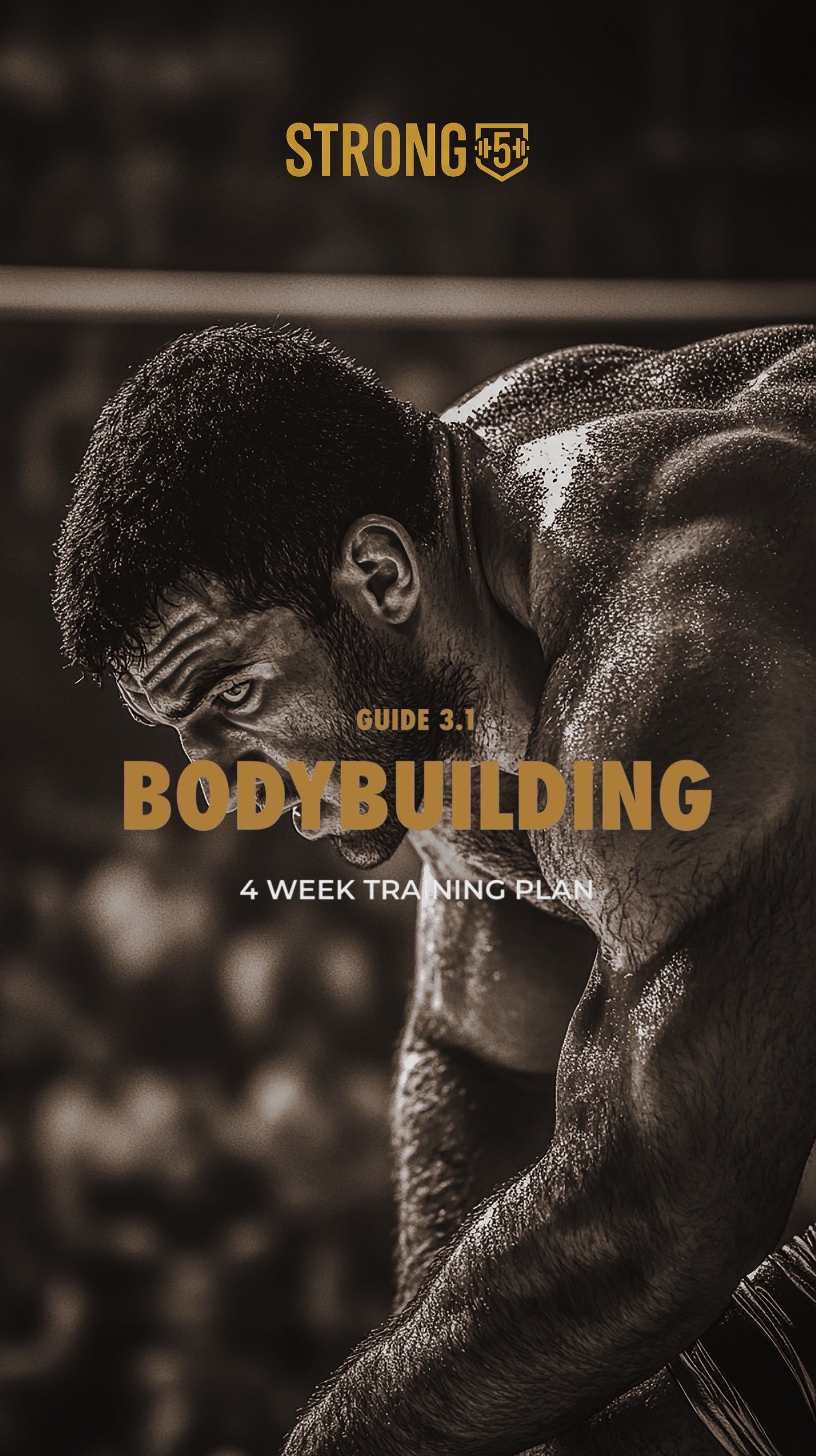 Guide 3.1 Bodybuilding