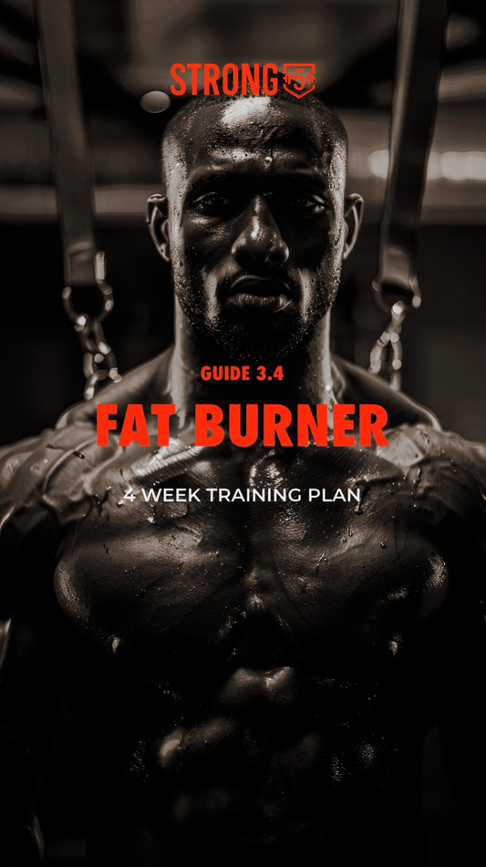 Guide 3.4 Fat burner
