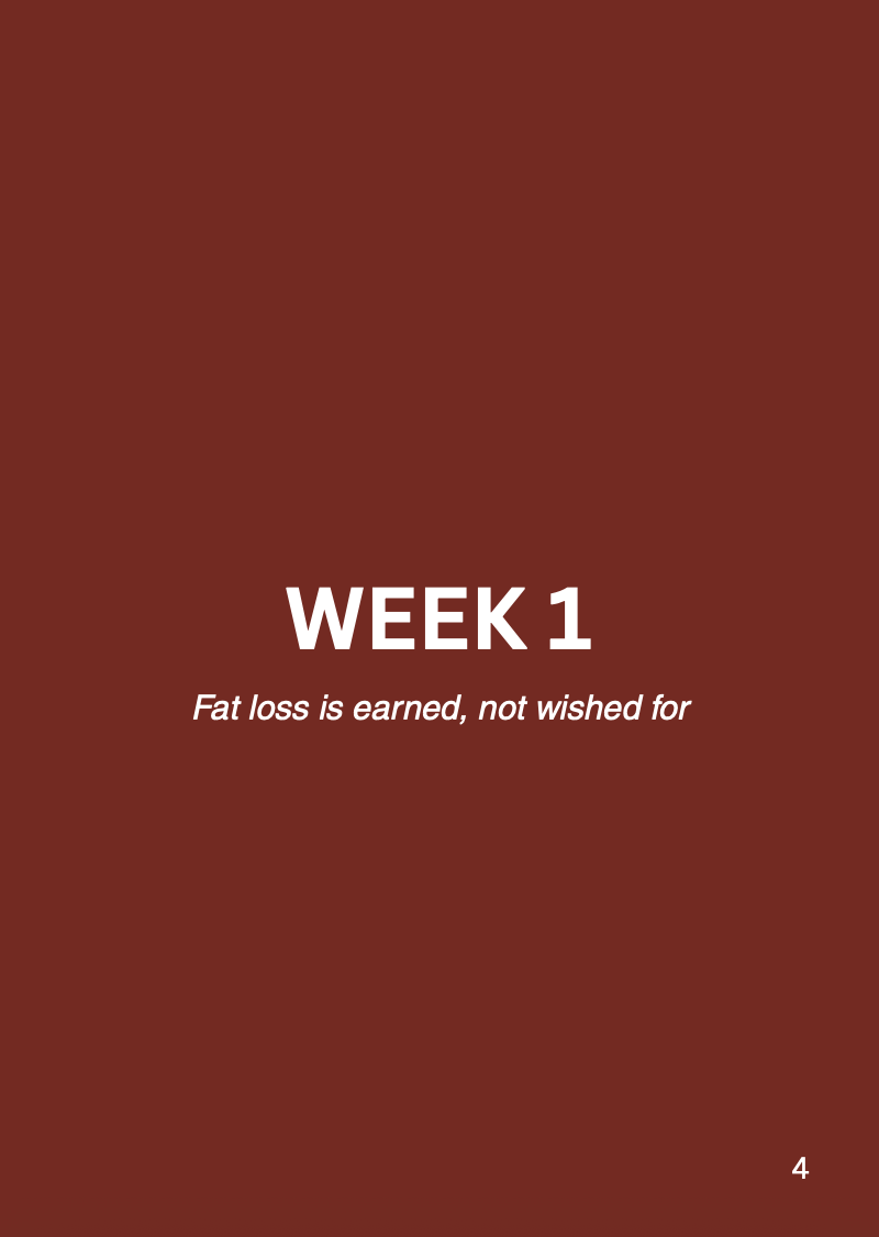 Guide 4.4 Fat Burner